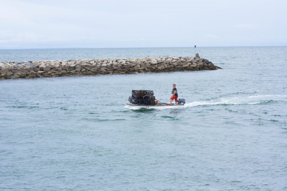 Camping on the Cape - northeastern nautical